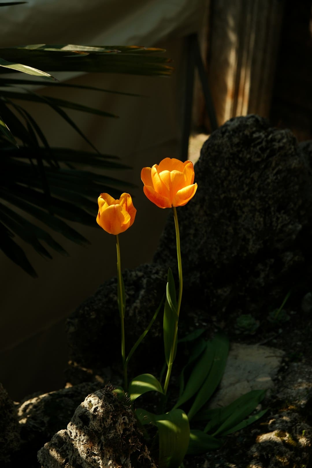 http://n.sinaimg.cn/news/w1500h1000/20180314/hGGK-fyscsmv5188267.jpg?zdy